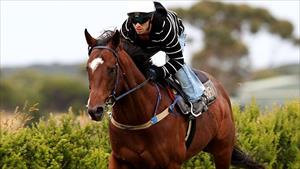 Surf and Turf for O'Brien